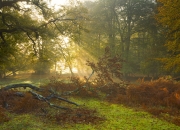 雷火电竞网址-东西双响，山西速胜展团队韬略，保罗接管显球星神话