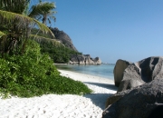 雷火电竞入驻-双线战场，一种统治，小贾伦奥运爆发映照NBA遗憾？