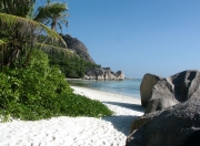 雷火电竞入驻-双线战场，一种统治，小贾伦奥运爆发映照NBA遗憾？