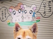 雷火电竞网站-黄潜远征记，罗德里一箭穿心，比利亚雷亚尔从美国带走胜利