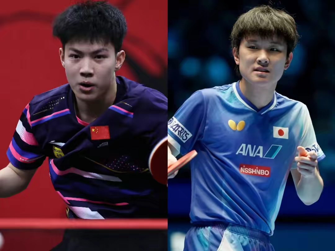 包含德国队险胜波兰队，张本智和统治全场的词条