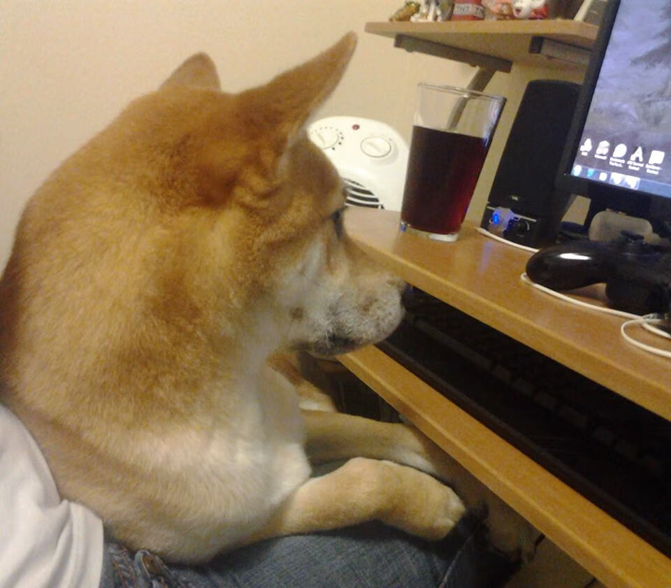 当NBA节奏席卷天山,爱德华兹50+准三双演绎现代篮球掌控力