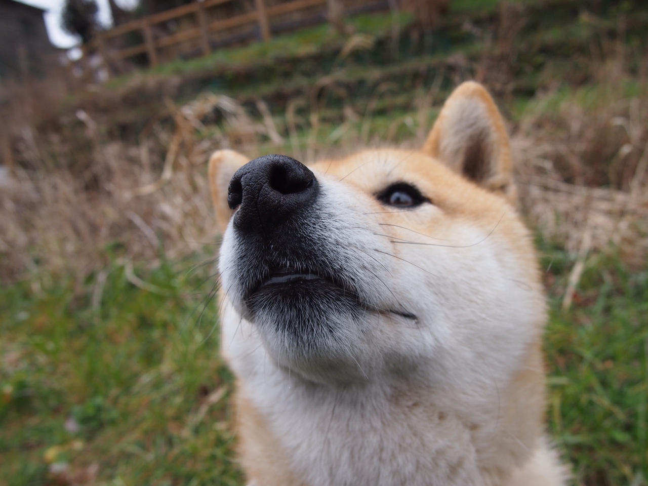 跨国对决，迪马利亚天使之翼撕破加纳防线，马竞险胜诠释足球唯一性