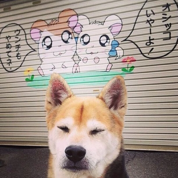 黄潜远征记，罗德里一箭穿心，比利亚雷亚尔从美国带走胜利