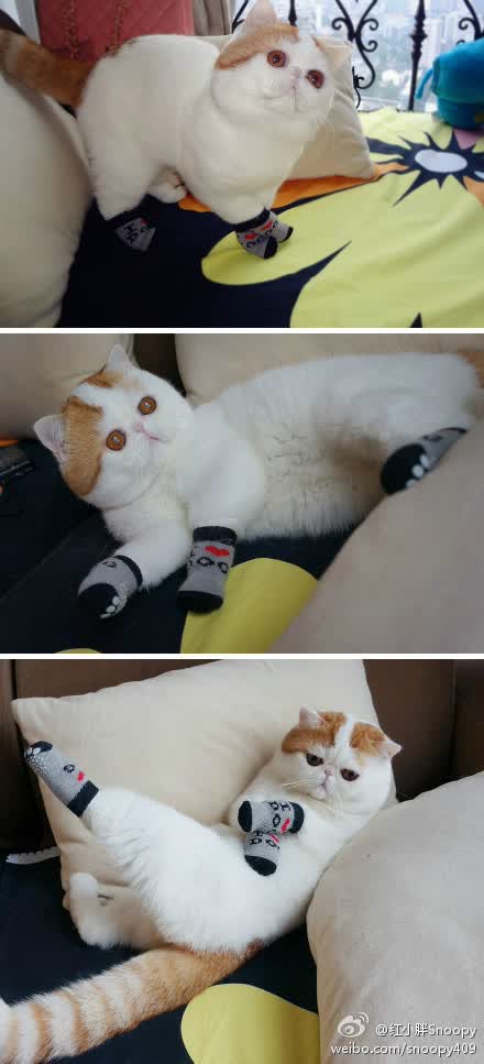 逆光之刃，当C罗的最后一舞，被福登的月光刺穿